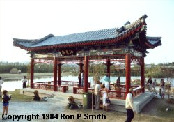 The Chinese Garden in July 1984