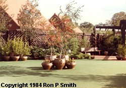 Unidentified Garden on September 30th 1984