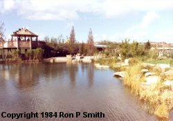 A Lake on September 30th 1984